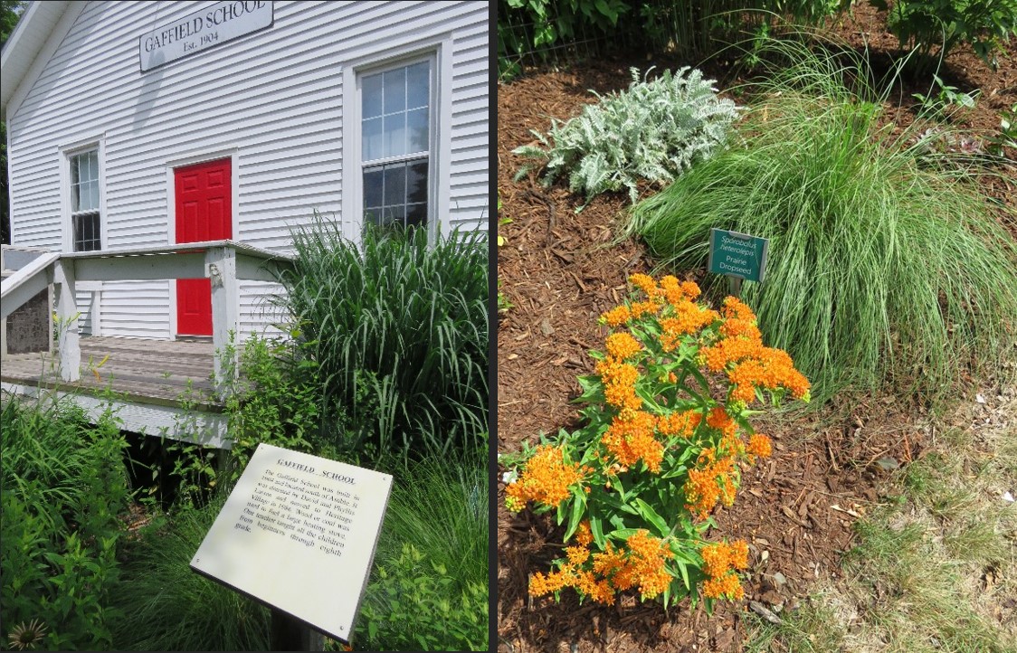 A school house and a variety of flowers and grasses.